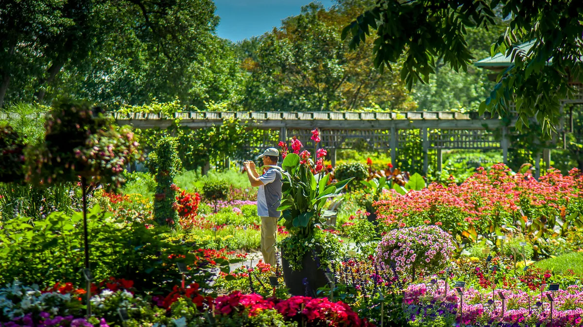 Summer flowers at the Montréal Botanical Garden